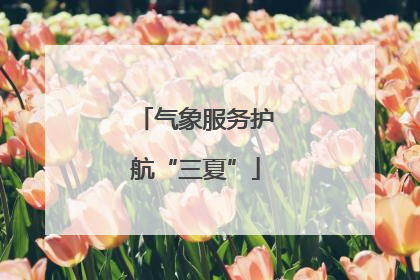 气象服务护航“三夏”