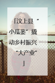 汶上县“小瓜蒌”撬动乡村振兴“大产业”