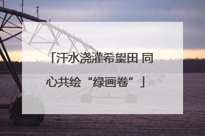 汗水浇灌希望田 同心共绘“绿画卷”