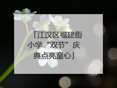 江汉区福建街小学“双节”庆典点亮童心
