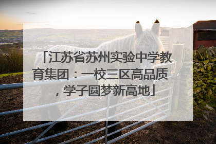 江苏省苏州实验中学教育集团：一校三区高品质，学子圆梦新高地