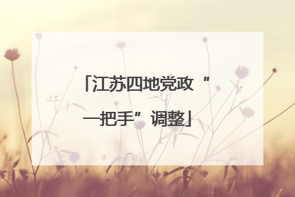 江苏四地党政“一把手”调整