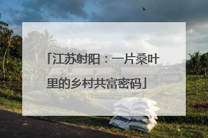 江苏射阳：一片桑叶里的乡村共富密码