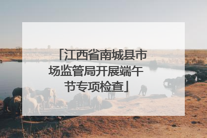 江西省南城县市场监管局开展端午节专项检查