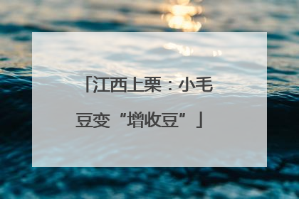 江西上栗：小毛豆变“增收豆”