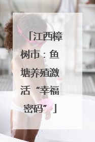 江西樟树市：鱼塘养殖激活“幸福密码”