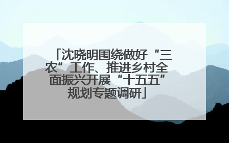 沈晓明围绕做好“三农”工作、推进乡村全面振兴开展“十五五”规划专题调研