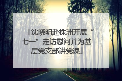 沈晓明赴株洲开展“七一”走访慰问并为基层党支部讲党课