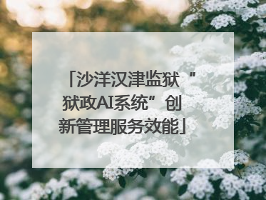 沙洋汉津监狱“狱政AI系统”创新管理服务效能