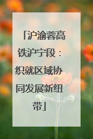 沪渝蓉高铁沪宁段：织就区域协同发展新纽带