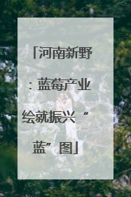 河南新野：蓝莓产业绘就振兴“蓝”图