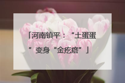 河南镇平：“土蛋蛋”变身“金疙瘩”