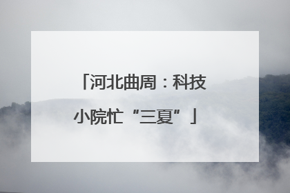 河北曲周：科技小院忙“三夏”