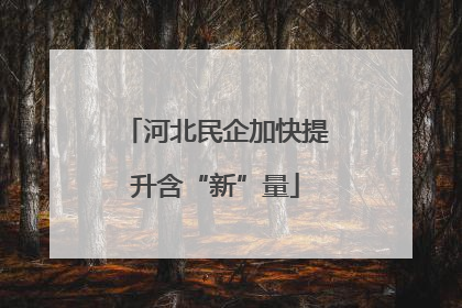 河北民企加快提升含“新”量