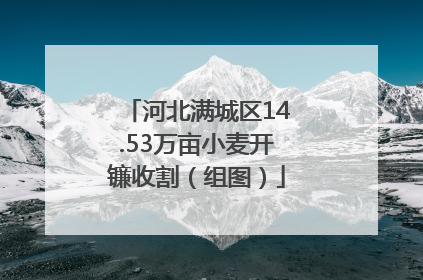 河北满城区14.53万亩小麦开镰收割（组图）