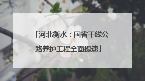 河北衡水：国省干线公路养护工程全面提速