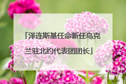 泽连斯基任命新任乌克兰驻北约代表团团长