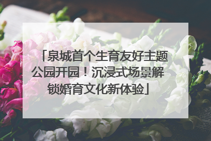 泉城首个生育友好主题公园开园！沉浸式场景解锁婚育文化新体验