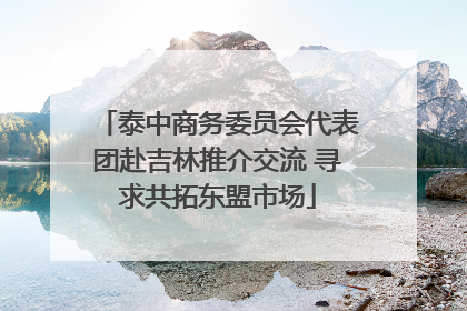 泰中商务委员会代表团赴吉林推介交流 寻求共拓东盟市场