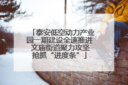 泰安低空动力产业园一期建设全速推进 文庙街道聚力攻坚抢抓“进度条”