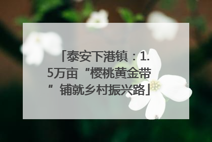 泰安下港镇：1.5万亩“樱桃黄金带”铺就乡村振兴路