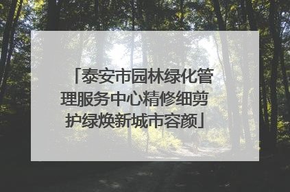 泰安市园林绿化管理服务中心精修细剪护绿焕新城市容颜