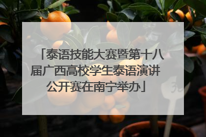 泰语技能大赛暨第十八届广西高校学生泰语演讲公开赛在南宁举办