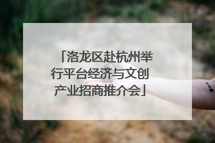 洛龙区赴杭州举行平台经济与文创产业招商推介会