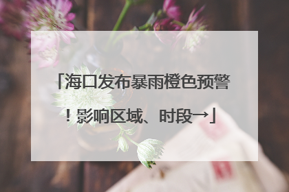 海口发布暴雨橙色预警！影响区域、时段→