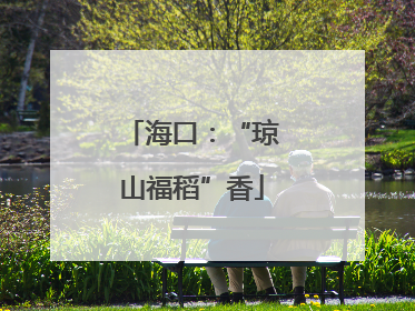 海口：“琼山福稻”香