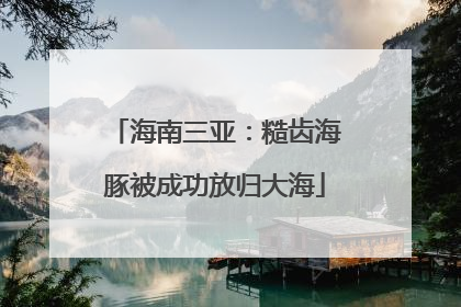 海南三亚：糙齿海豚被成功放归大海