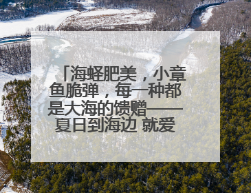 海蛏肥美，小章鱼脆弹，每一种都是大海的馈赠——夏日到海边 就爱那口鲜
