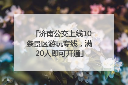 济南公交上线10条景区游玩专线，满20人即可开通