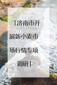 济南市开展新小麦市场行情专项调研