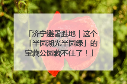 济宁避暑胜地｜这个「半园湖光半园绿」的宝藏公园藏不住了！