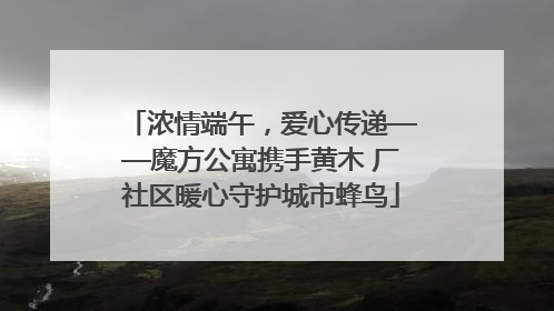 浓情端午，爱心传递——魔方公寓携手黄木 厂社区暖心守护城市蜂鸟