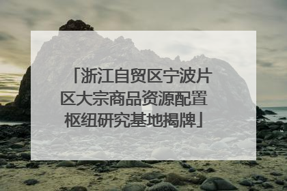 浙江自贸区宁波片区大宗商品资源配置枢纽研究基地揭牌