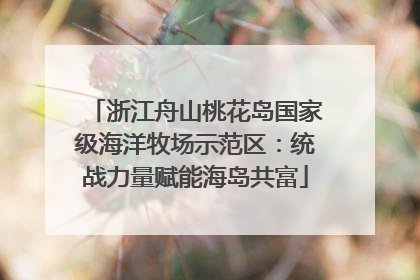 浙江舟山桃花岛国家级海洋牧场示范区：统战力量赋能海岛共富