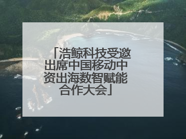 浩鲸科技受邀出席中国移动中资出海数智赋能合作大会