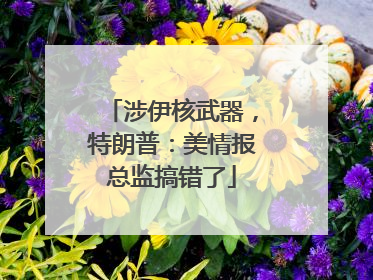 涉伊核武器，特朗普：美情报总监搞错了