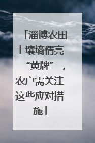 淄博农田土壤墒情亮“黄牌”，农户需关注这些应对措施