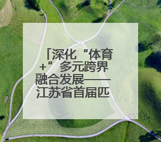 深化“体育+”多元跨界融合发展——江苏省首届匹克球大赛在无锡开赛