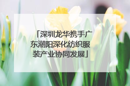 深圳龙华携手广东潮阳深化纺织服装产业协同发展