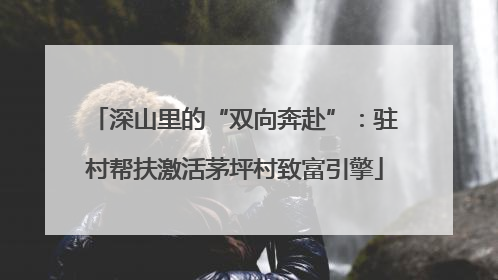 深山里的“双向奔赴”：驻村帮扶激活茅坪村致富引擎