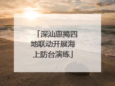 深汕惠揭四地联动开展海上防台演练