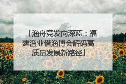 渔舟竞发向深蓝：福建渔业借渔博会解码高质量发展新路径