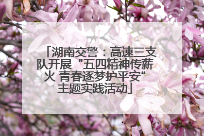 湖南交警：高速三支队开展“五四精神传薪火 青春逐梦护平安”主题实践活动