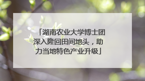 湖南农业大学博士团深入隆回田间地头，助力当地特色产业升级