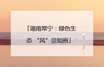 湖南常宁：绿色生态 “风”景如画