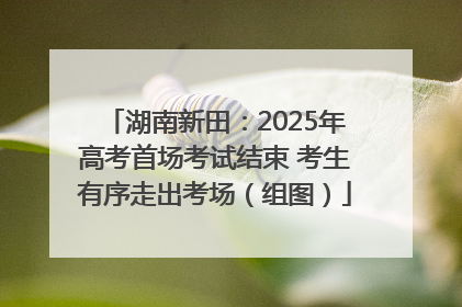 湖南新田：2025年高考首场考试结束 考生有序走出考场（组图）